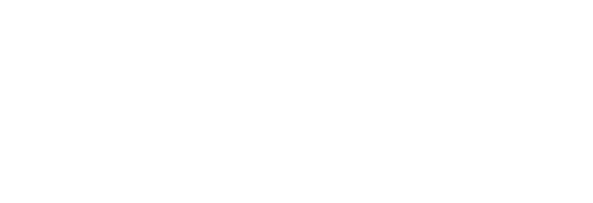 Zara Computers Logo